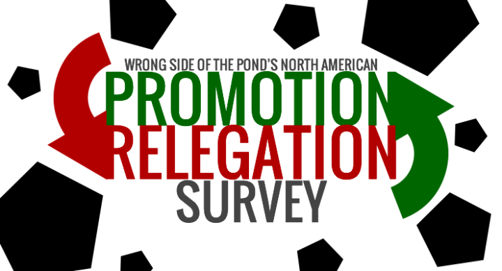Promotion and Relegation Survey