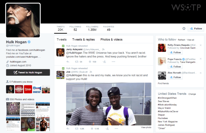 WSOTP - Hulk Hogan 1.fw